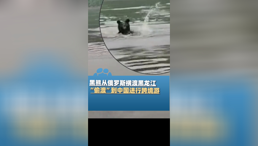 马来西亚一燃气管道爆炸起火,2025年正版资料免费大全,成语解释落实可能存在的问题_专家版V7.42