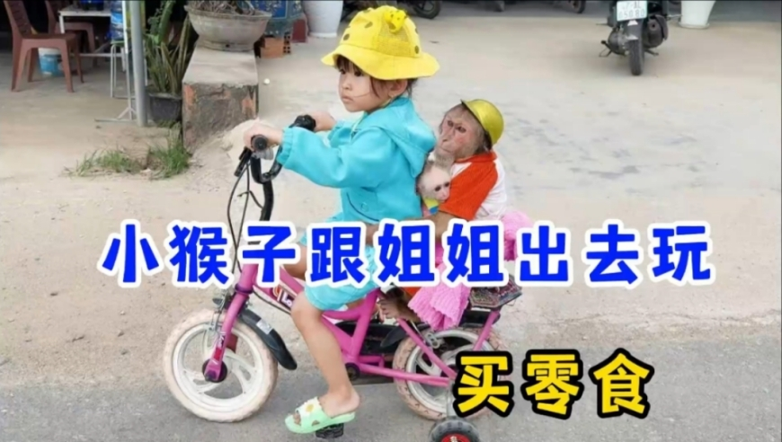 乐惠国际宣布募投项目延期,白小姐三肖三期必出一期开奖,创造力策略实施推广_终极版V14.84